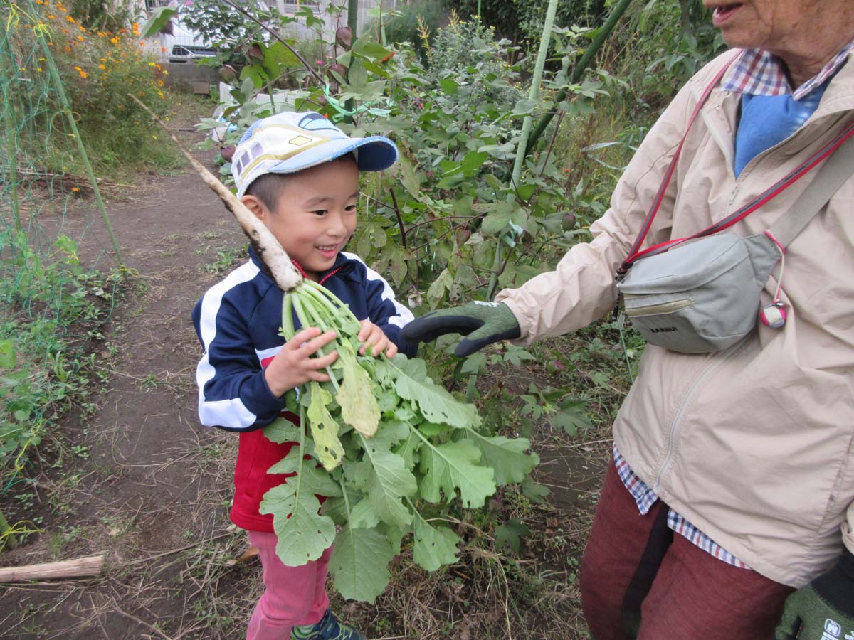 自分で育てた大根を抱える少年