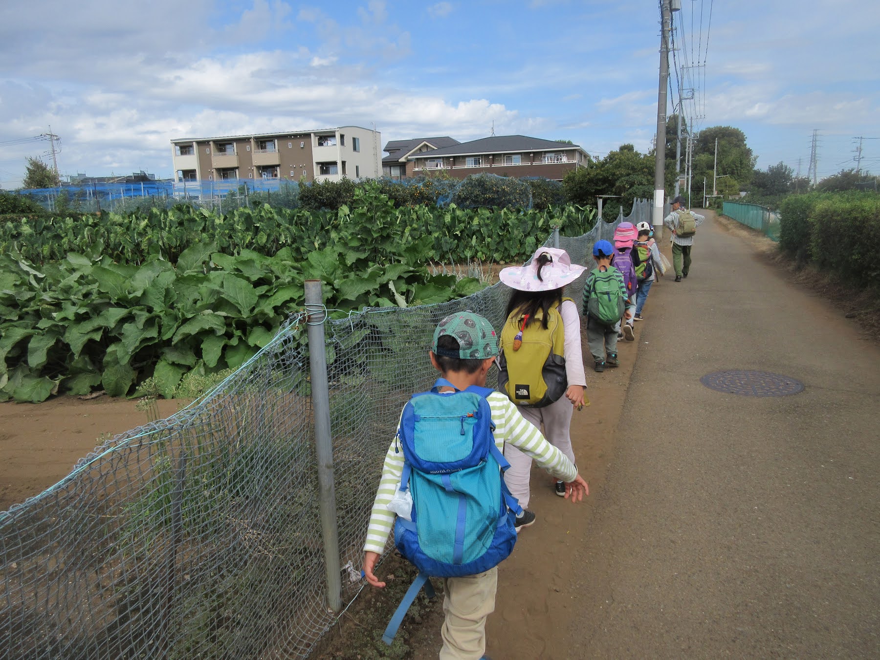 畑の横を一列で歩く子どもたち