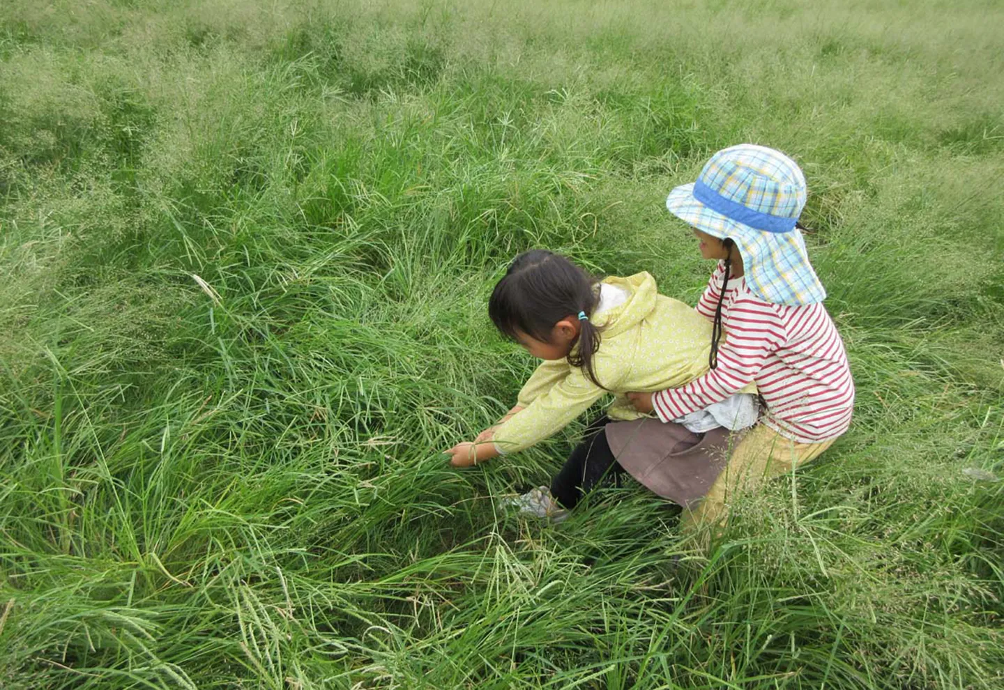 子どもたちの日常草を協力して抜こうとしている二人