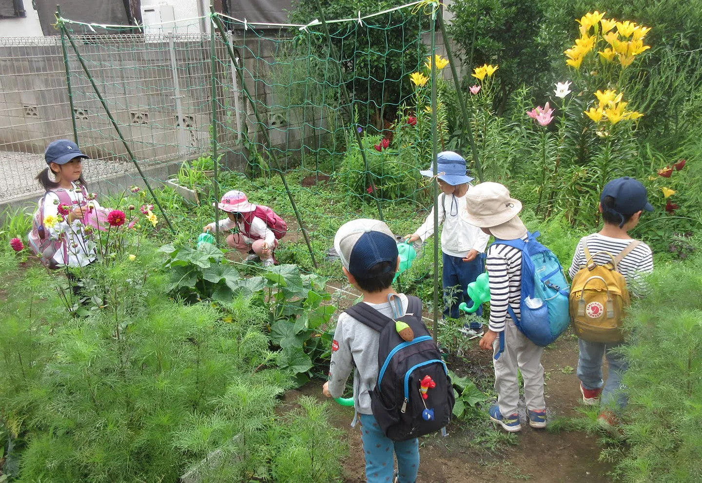 こどもたちの日常畑で作物の世話をする子どもたち
