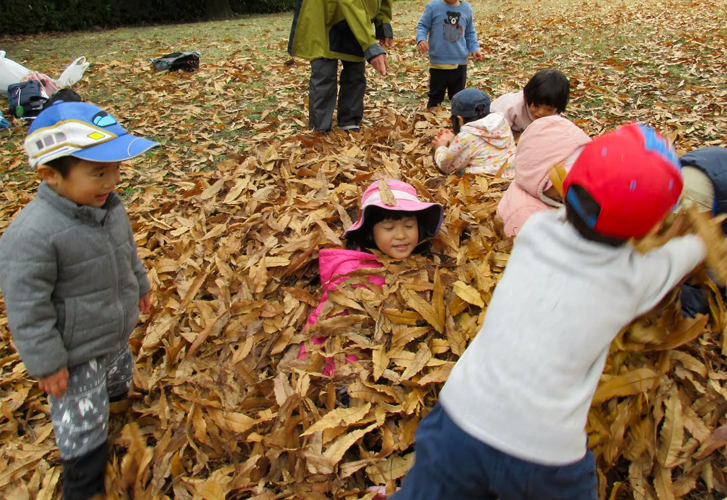 子どもたちの日常落ち葉で遊ぶ子供たち
