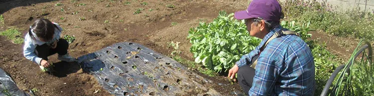 保護者の声先生と畑で種の植え付けする子ども