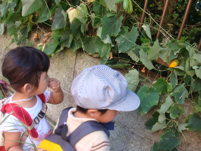 f:id:donkoro:20121001103223j:plain f:id:donkoro:20121001103223j:plain