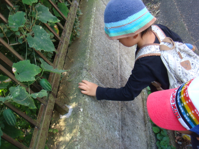 f:id:donkoro:20121005103929j:plain f:id:donkoro:20121005103929j:plain