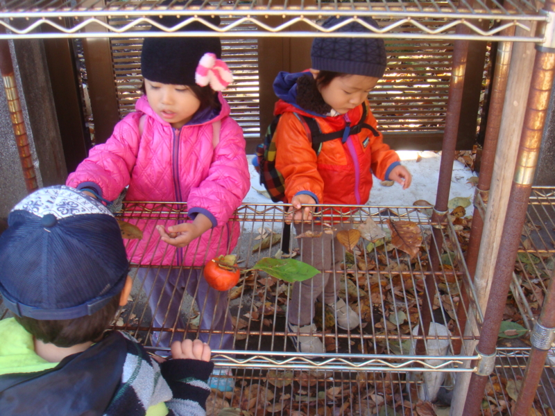 f:id:donkoro:20121120105348j:plain f:id:donkoro:20121120105348j:plain