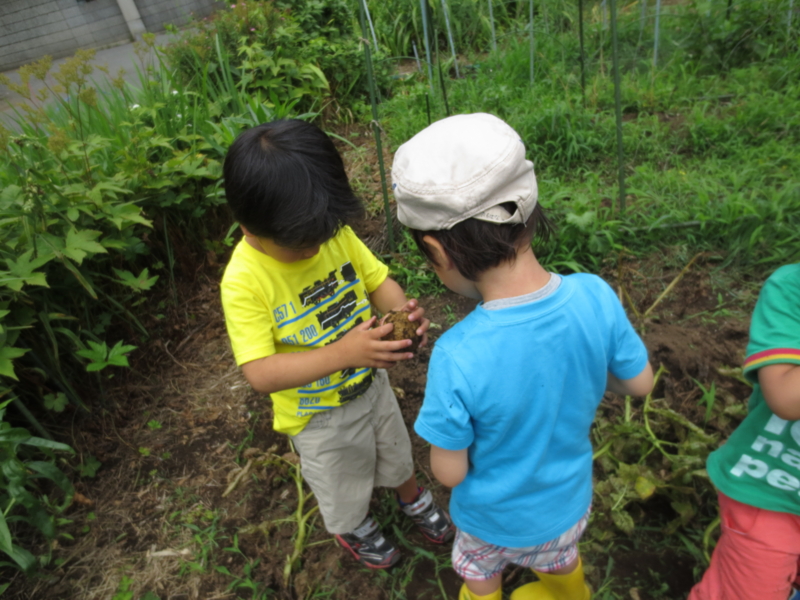 f:id:donkoro:20130617110408j:plain