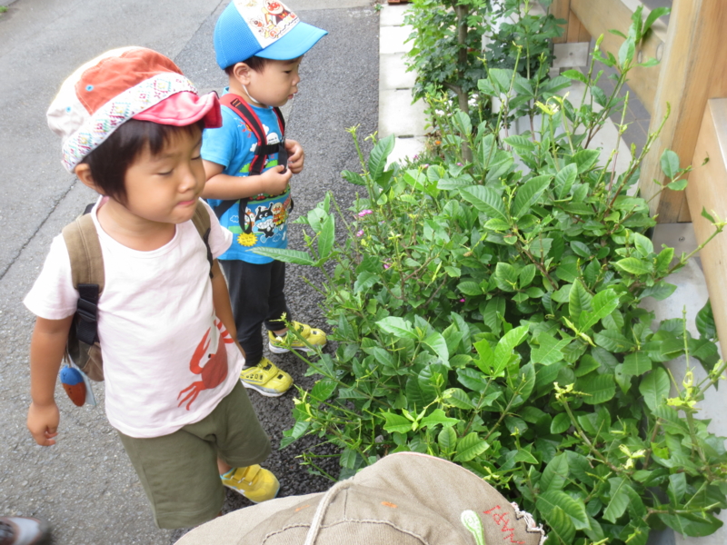 f:id:donkoro:20130718100839j:plain