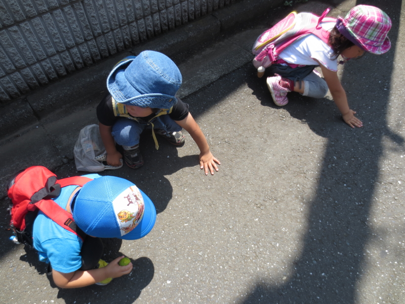 f:id:donkoro:20130718104405j:plain