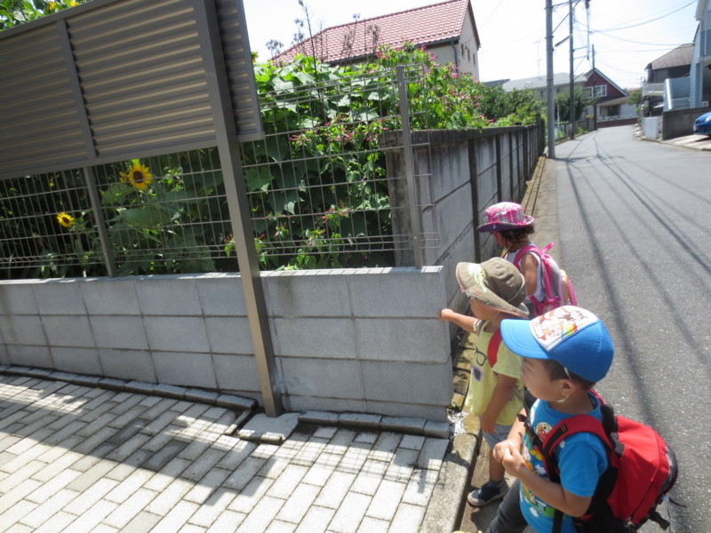 f:id:donkoro:20130718111329j:plain