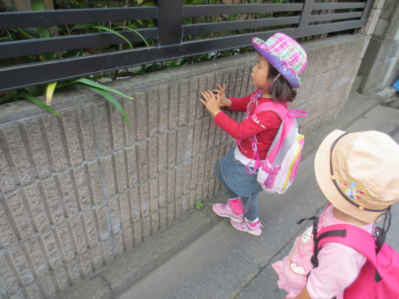 f:id:donkoro:20130924124034j:plain