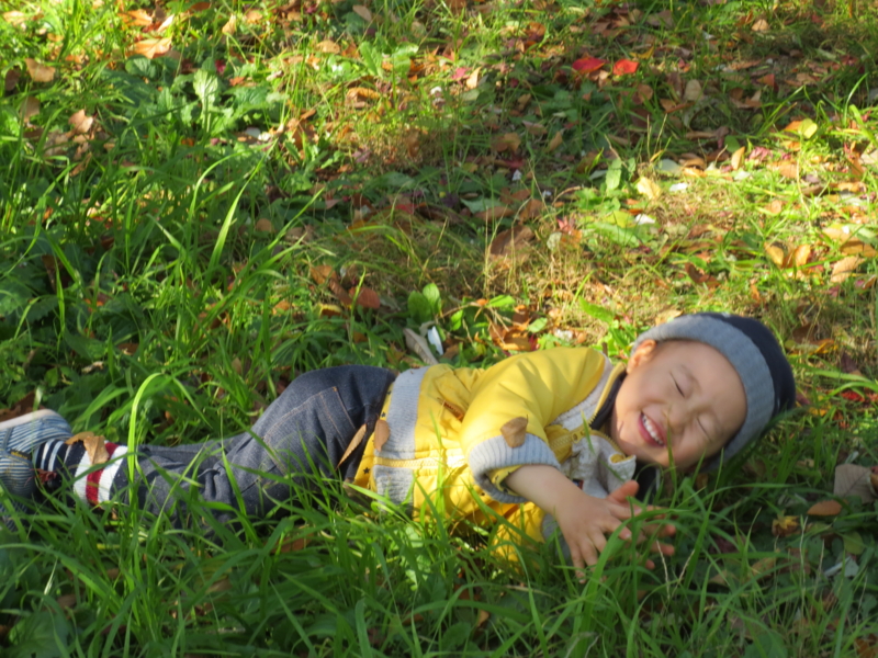 f:id:donkoro:20131127120040j:plain