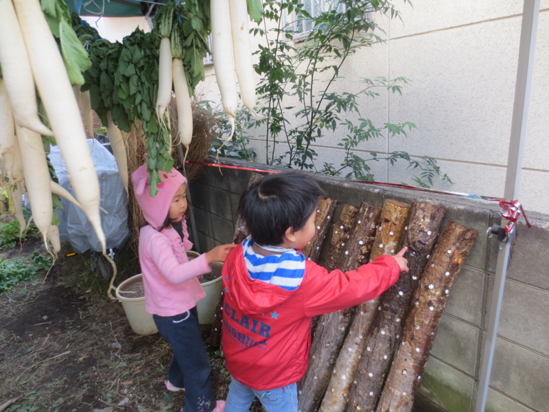 f:id:donkoro:20131204094950j:plain