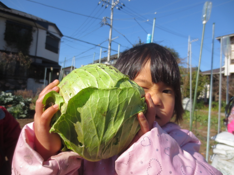 f:id:donkoro:20140106103859j:plain