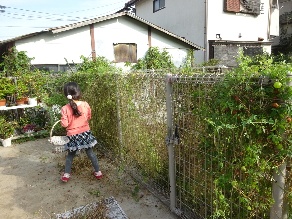 f:id:donkoro:20140204040108j:plain