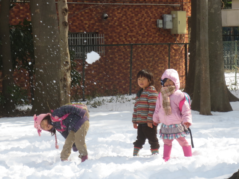 f:id:donkoro:20140210122857j:plain