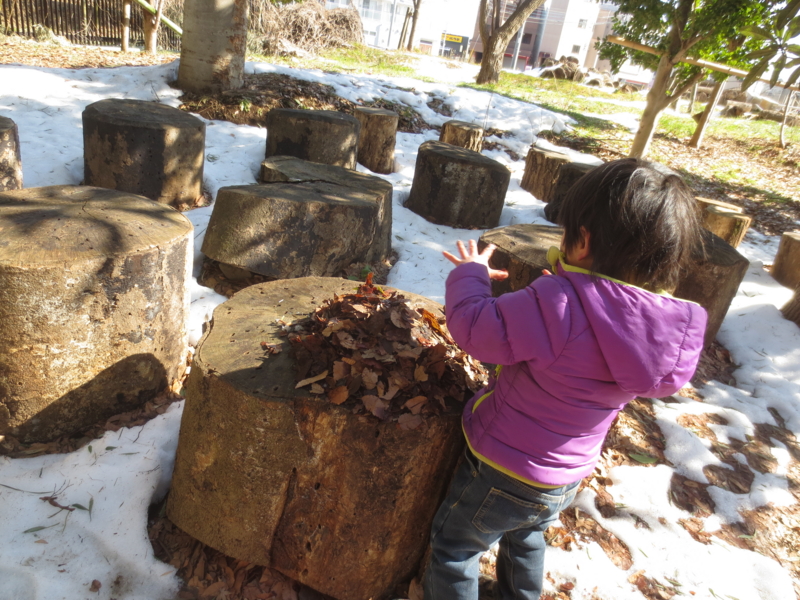 f:id:donkoro:20140221102146j:plain