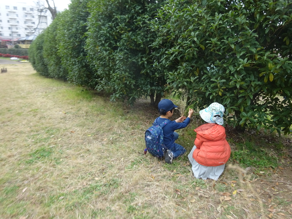 f:id:donkoro:20140304015510j:plain f:id:donkoro:20140304015510j:plain