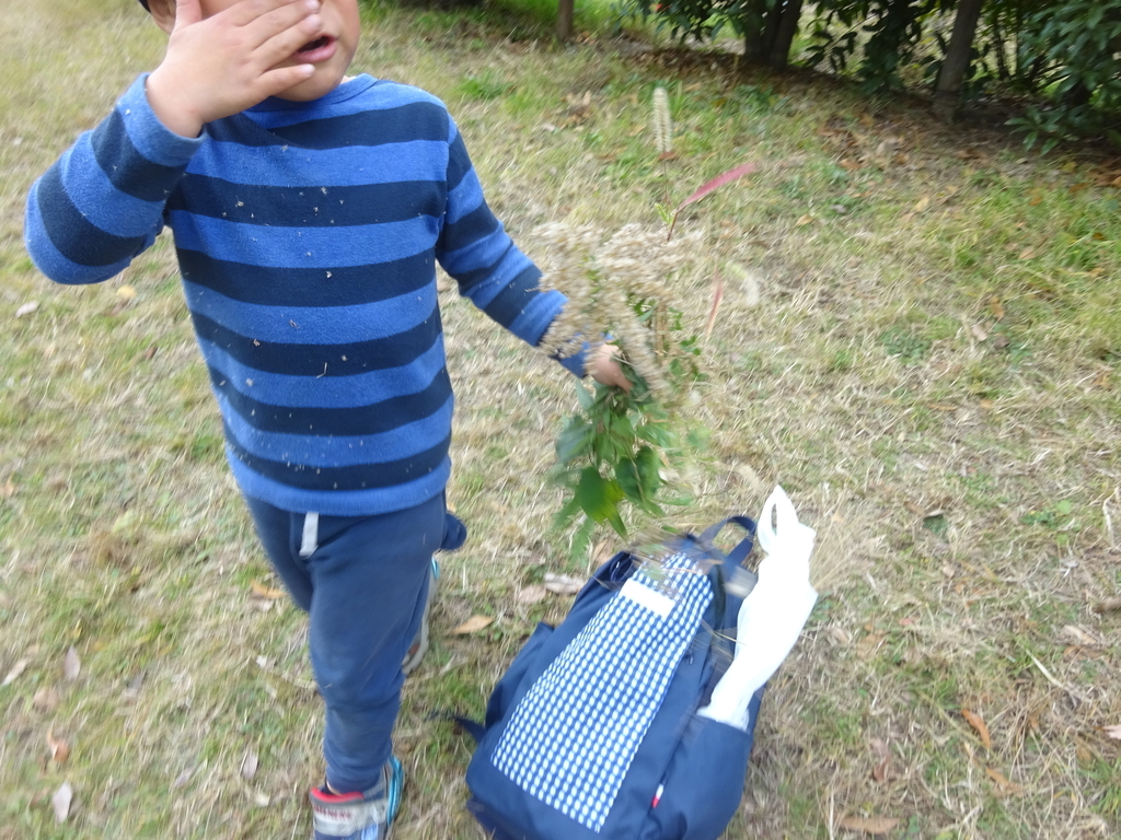 f:id:donkoro:20140304015940j:plain f:id:donkoro:20140304015940j:plain