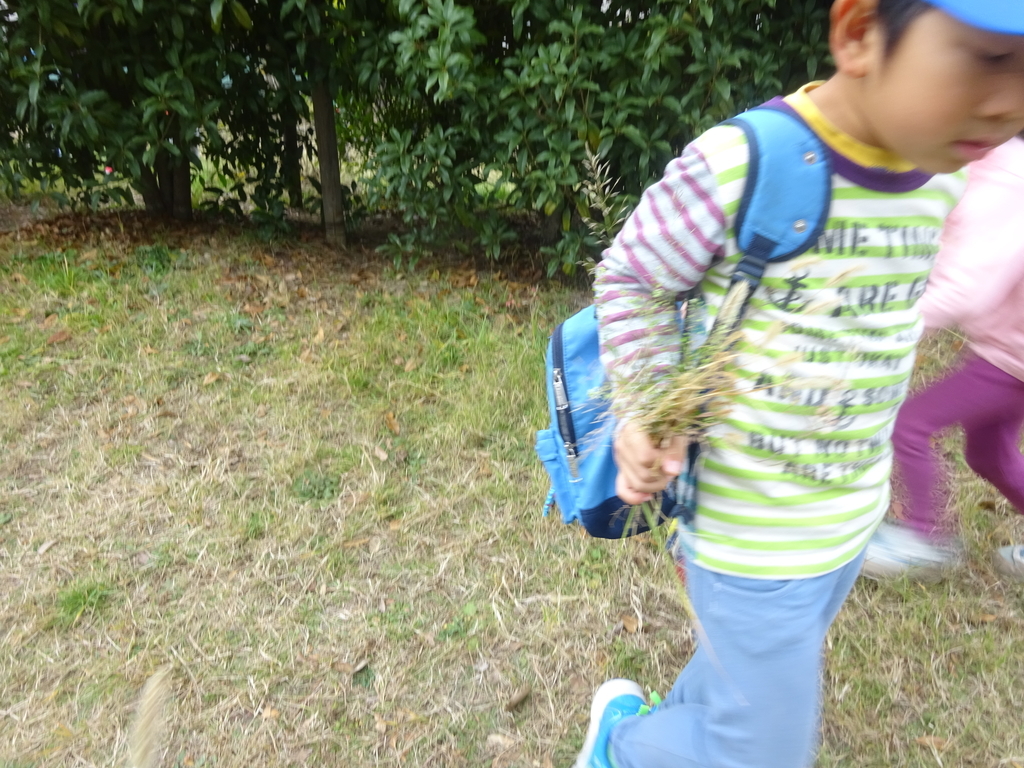 f:id:donkoro:20140304015942j:plain f:id:donkoro:20140304015942j:plain