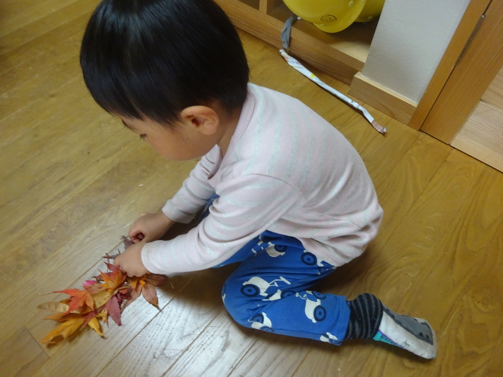 f:id:donkoro:20140304034138j:plain f:id:donkoro:20140304034138j:plain