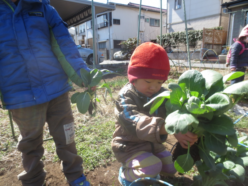 f:id:donkoro:20140310104138j:plain
