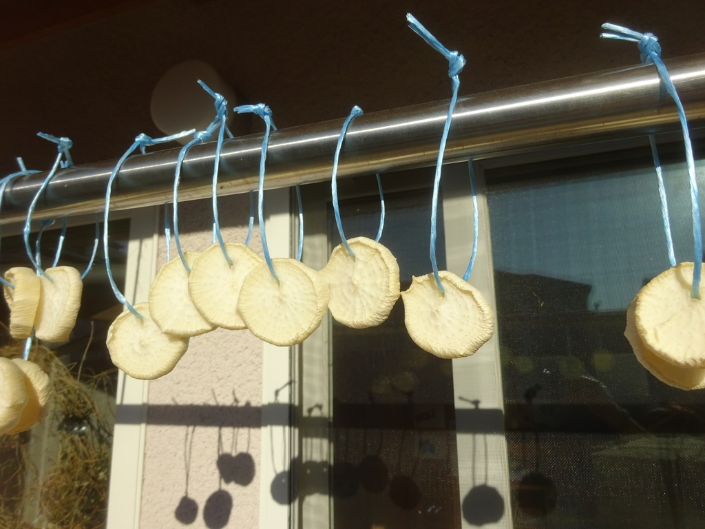 f:id:donkoro:20140323232322j:plain