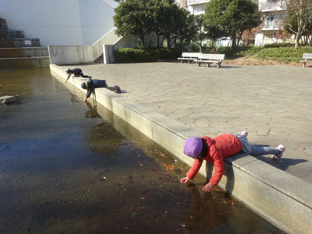 f:id:donkoro:20140408013748j:plain