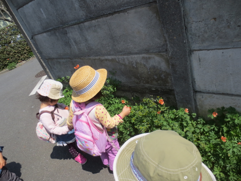 f:id:donkoro:20140410104622j:plain