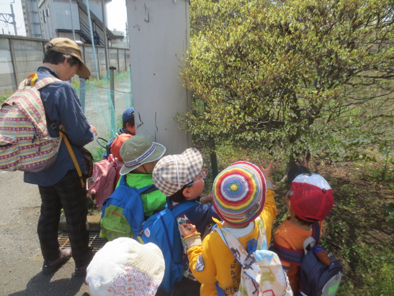 f:id:donkoro:20140410111411j:plain