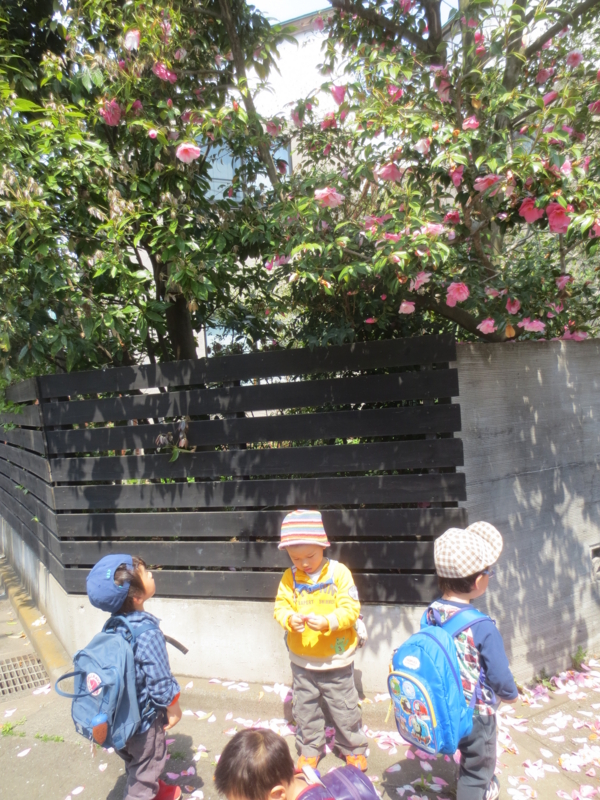 f:id:donkoro:20140410112534j:plain