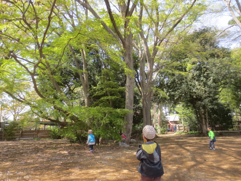 f:id:donkoro:20140411111236j:plain f:id:donkoro:20140411111236j:plain