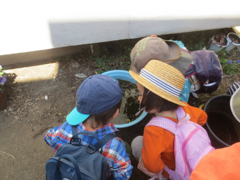f:id:donkoro:20140415102001j:plain