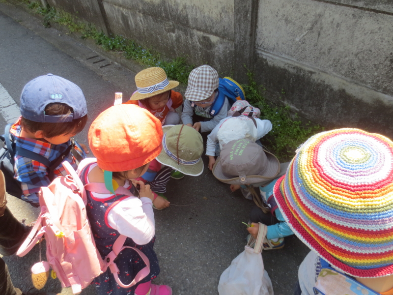 f:id:donkoro:20140415104728j:plain