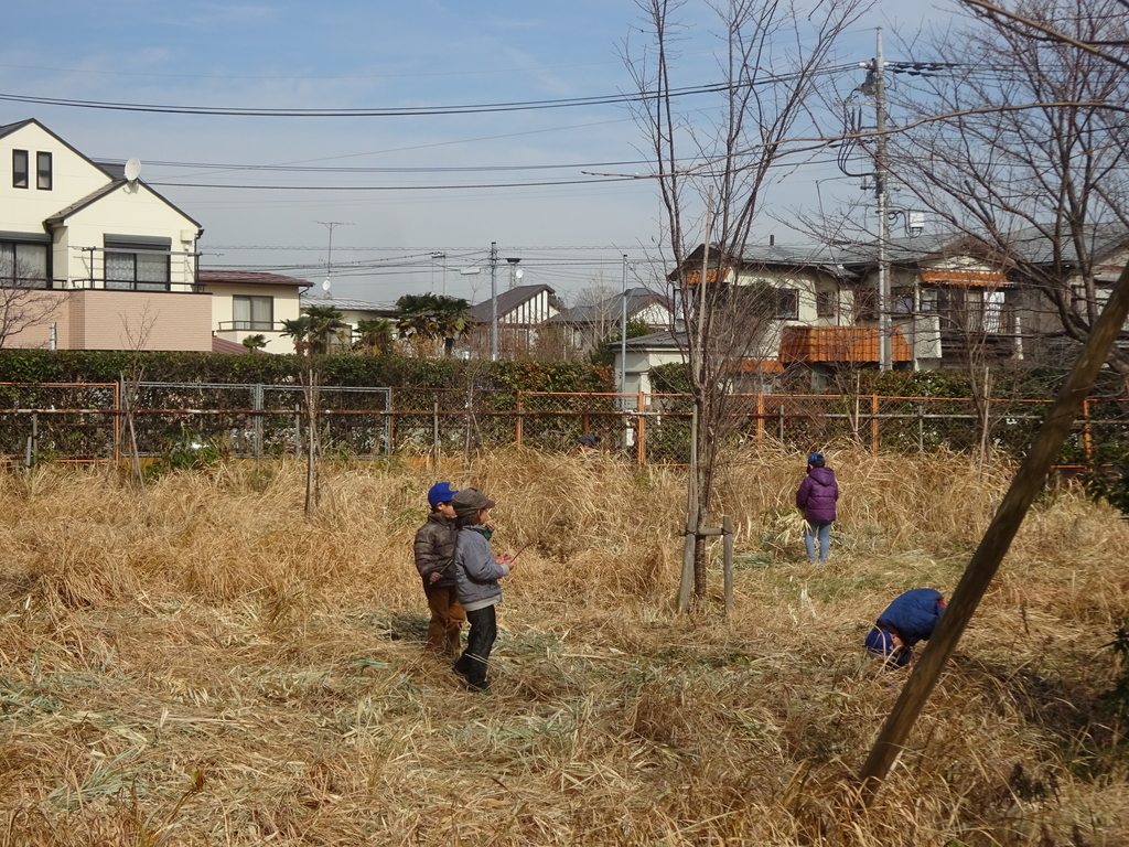f:id:donkoro:20140427020757j:plain