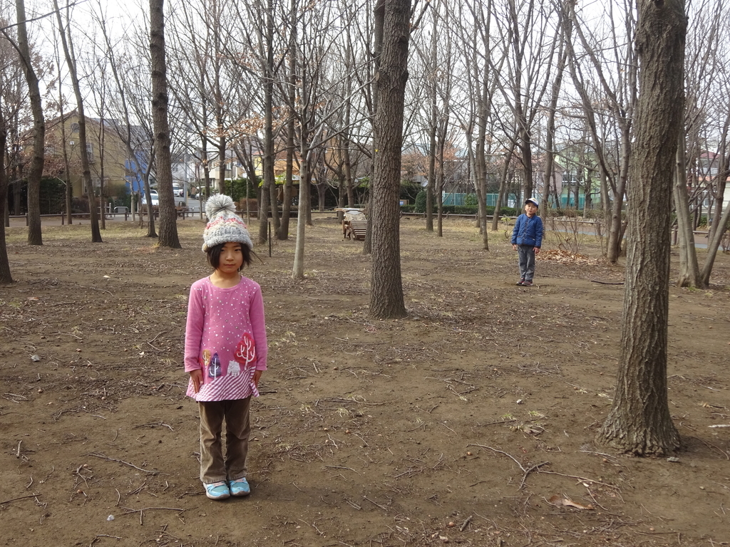 f:id:donkoro:20140429015933j:plain f:id:donkoro:20140429015933j:plain