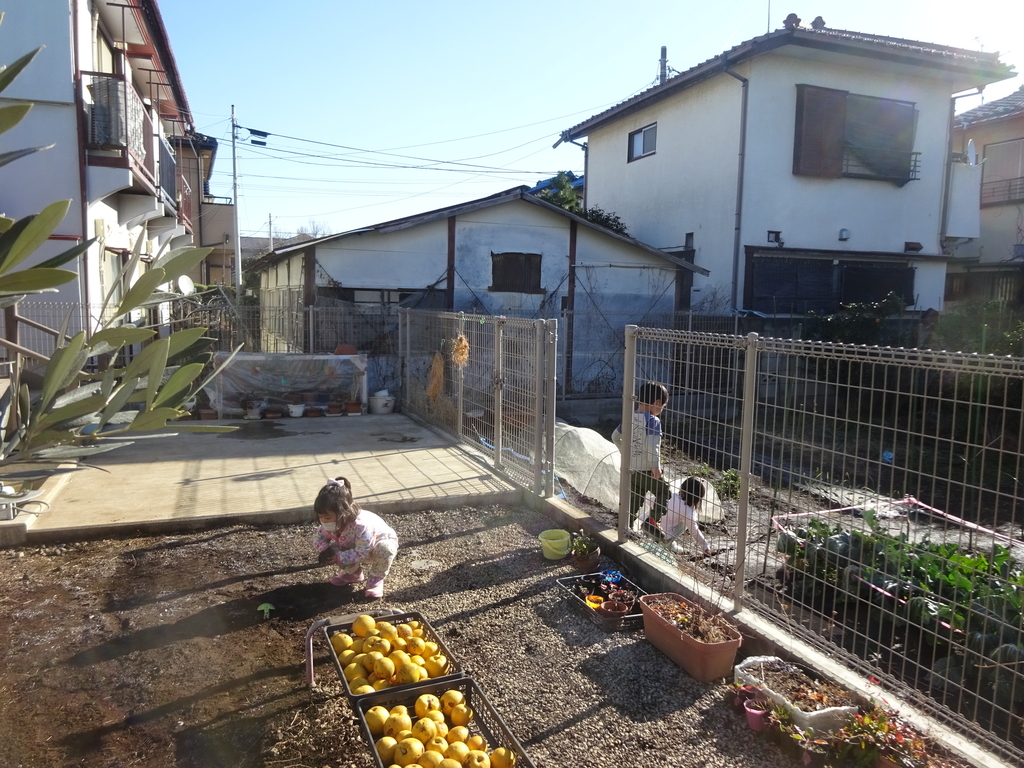 f:id:donkoro:20140430234928j:plain
