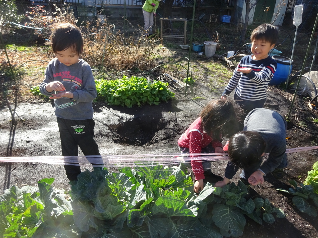 f:id:donkoro:20140430235305j:plain