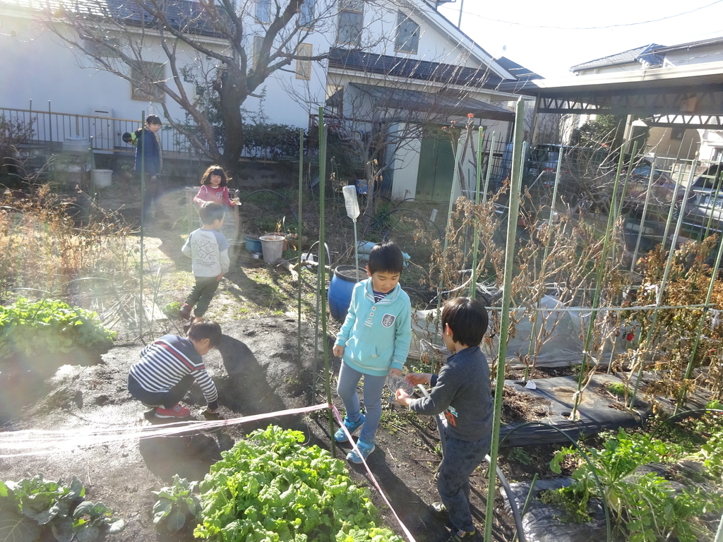 f:id:donkoro:20140430235643j:plain