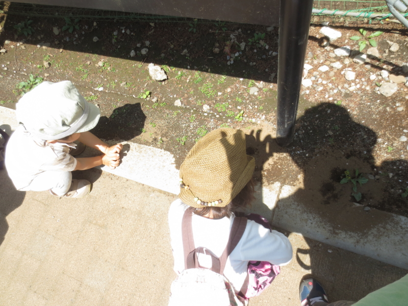 f:id:donkoro:20140502103830j:plain