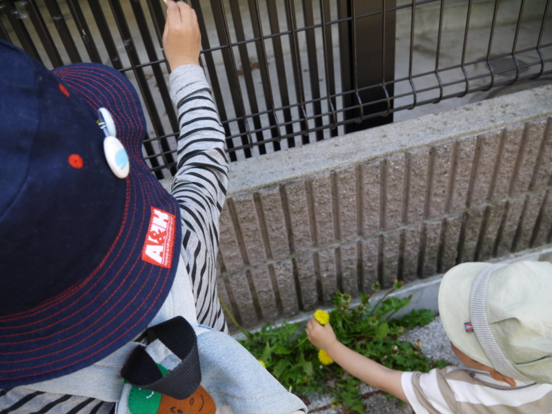 f:id:donkoro:20140502105558j:plain