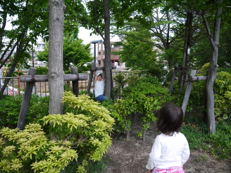 f:id:donkoro:20140502122124j:plain