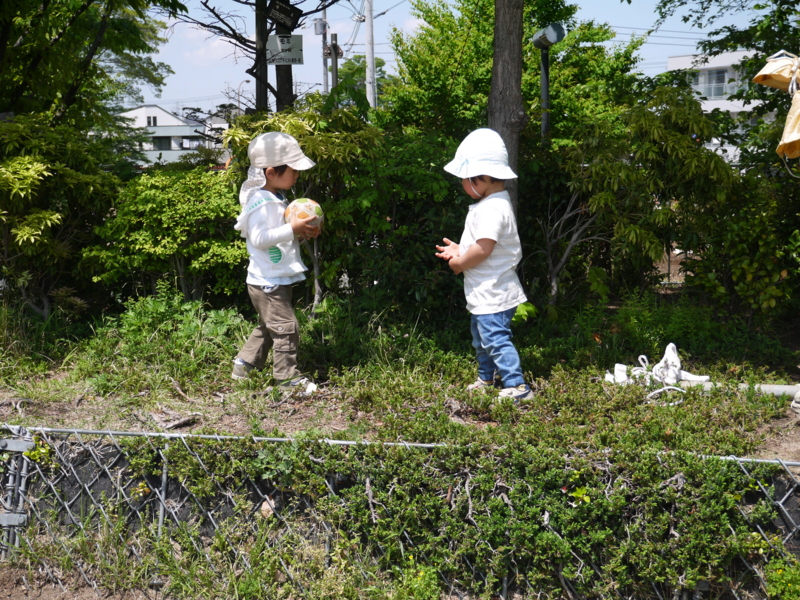 f:id:donkoro:20140502122624j:plain