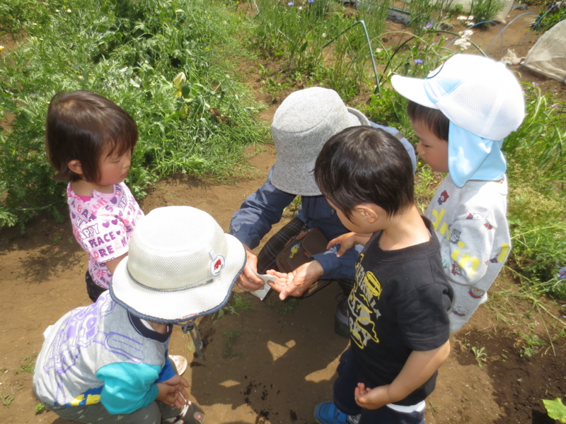 f:id:donkoro:20140509111328j:plain