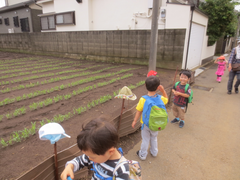 f:id:donkoro:20140610102856j:plain