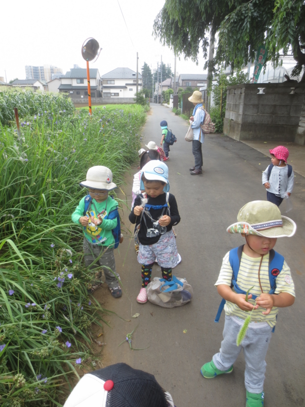 f:id:donkoro:20140617110006j:plain
