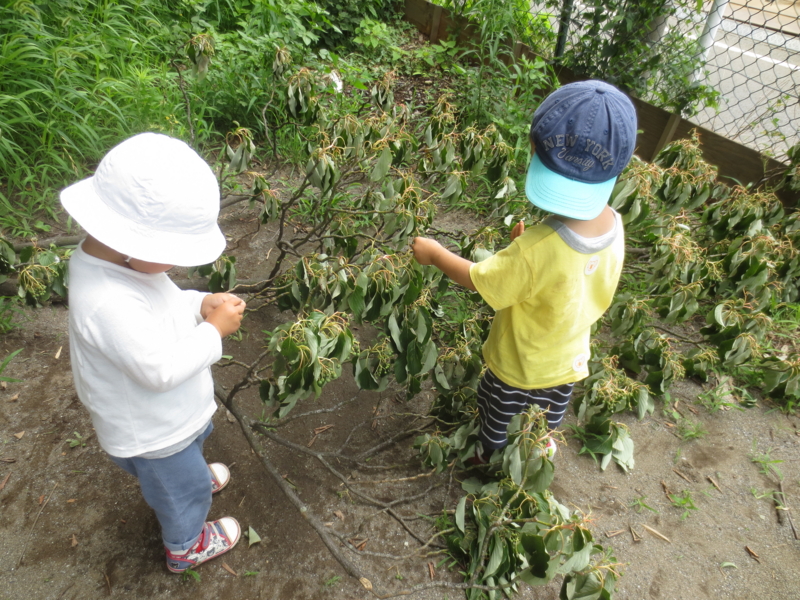 f:id:donkoro:20140701115925j:plain f:id:donkoro:20140701115925j:plain
