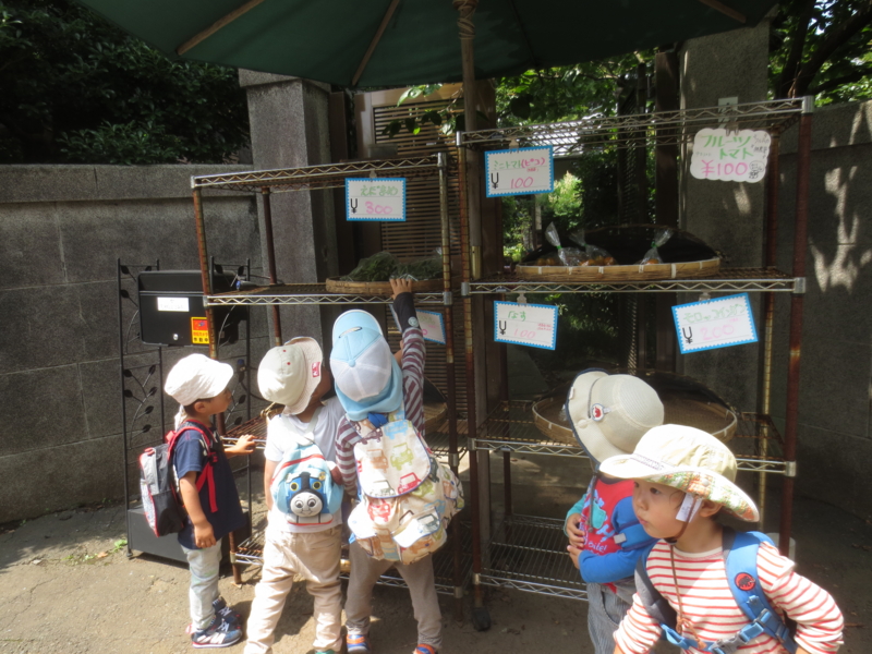 f:id:donkoro:20140702102237j:plain