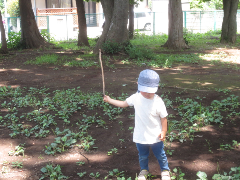 f:id:donkoro:20140702110545j:plain