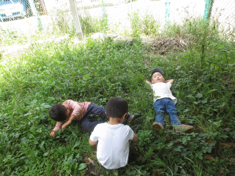 f:id:donkoro:20140702120115j:plain