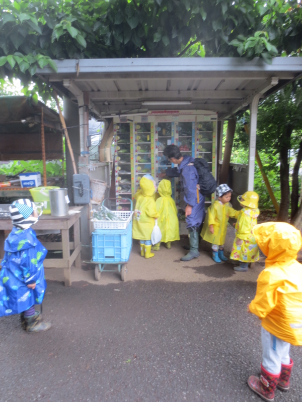 f:id:donkoro:20140704105718j:plain